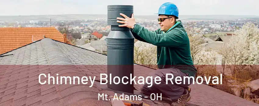 Chimney Blockage Removal Mt. Adams - OH