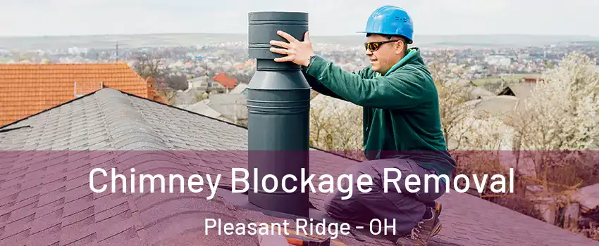 Chimney Blockage Removal Pleasant Ridge - OH