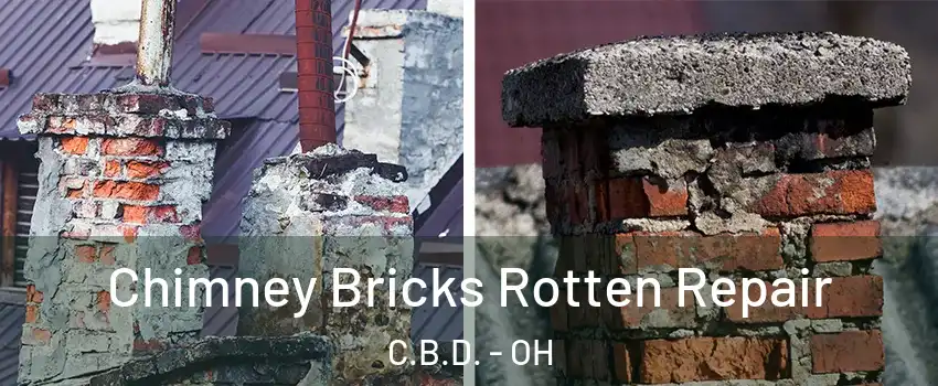 Chimney Bricks Rotten Repair C.B.D. - OH