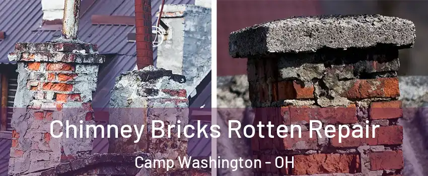 Chimney Bricks Rotten Repair Camp Washington - OH