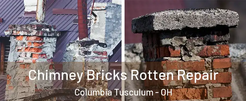 Chimney Bricks Rotten Repair Columbia Tusculum - OH