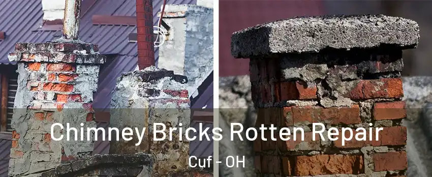 Chimney Bricks Rotten Repair Cuf - OH