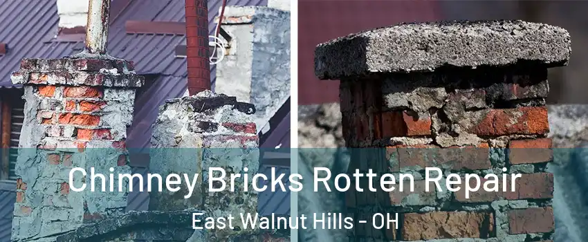 Chimney Bricks Rotten Repair East Walnut Hills - OH