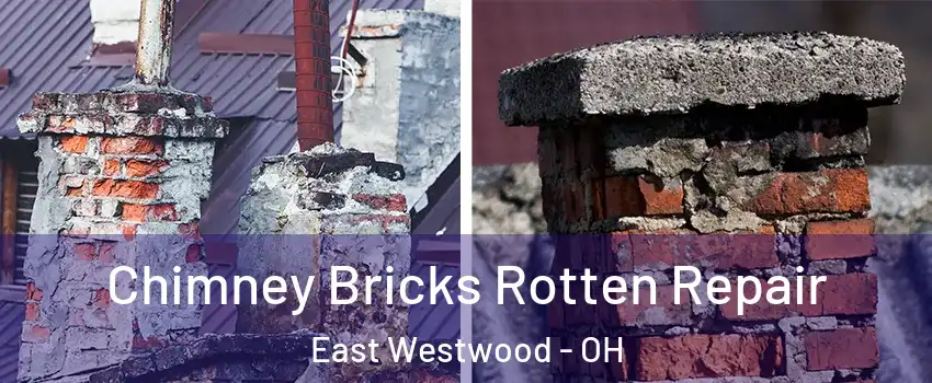 Chimney Bricks Rotten Repair East Westwood - OH