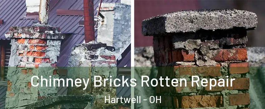 Chimney Bricks Rotten Repair Hartwell - OH