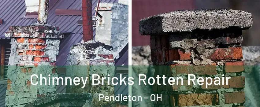 Chimney Bricks Rotten Repair Pendleton - OH