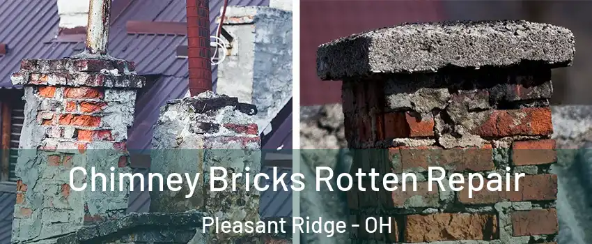 Chimney Bricks Rotten Repair Pleasant Ridge - OH