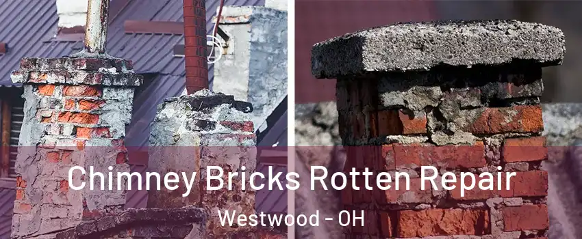 Chimney Bricks Rotten Repair Westwood - OH