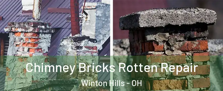 Chimney Bricks Rotten Repair Winton Hills - OH