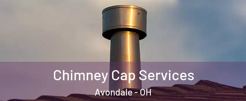 Chimney Cap Services Avondale - OH