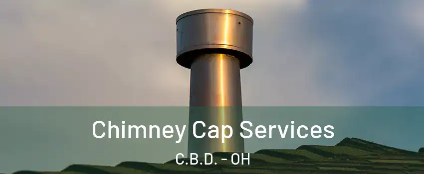 Chimney Cap Services C.B.D. - OH