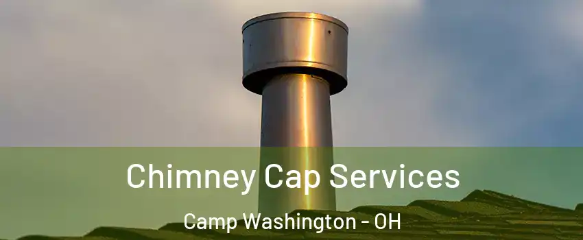 Chimney Cap Services Camp Washington - OH