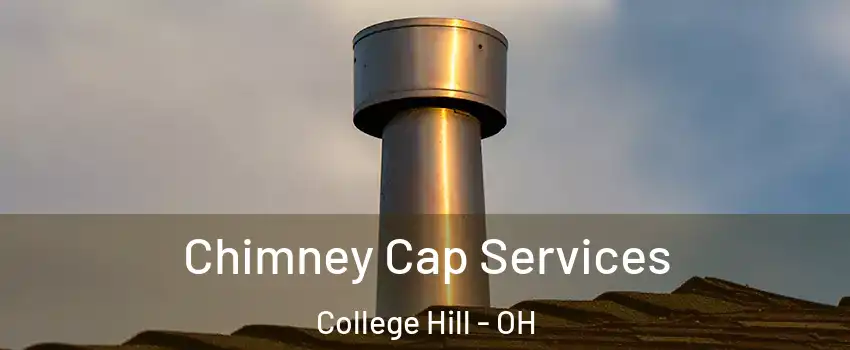 Chimney Cap Services College Hill - OH