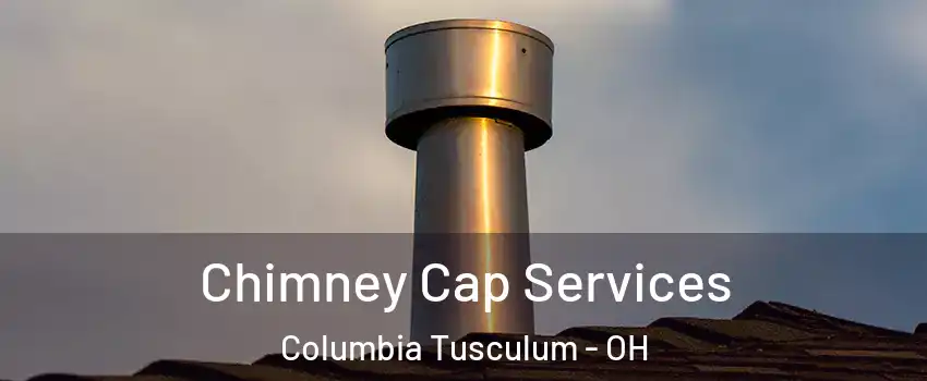 Chimney Cap Services Columbia Tusculum - OH