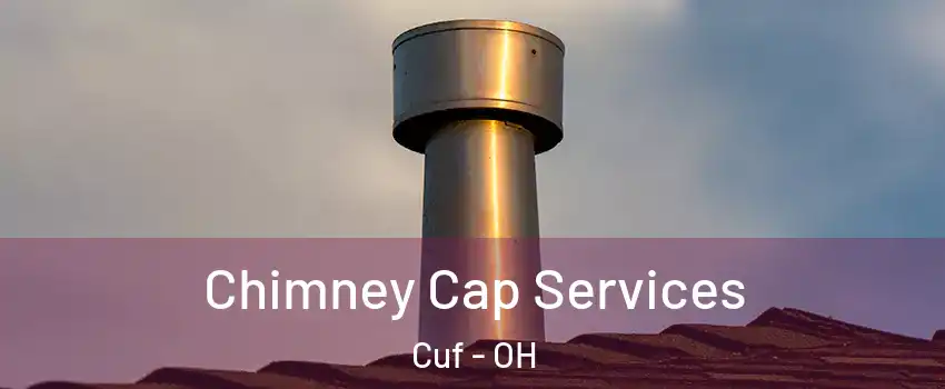 Chimney Cap Services Cuf - OH