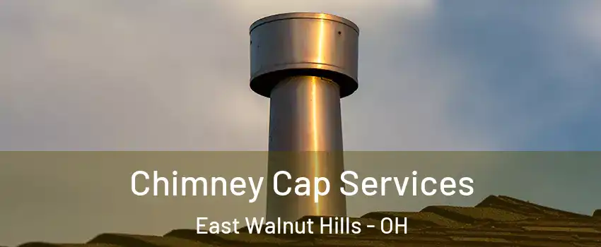 Chimney Cap Services East Walnut Hills - OH