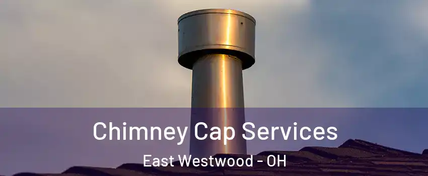 Chimney Cap Services East Westwood - OH