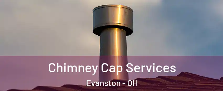 Chimney Cap Services Evanston - OH