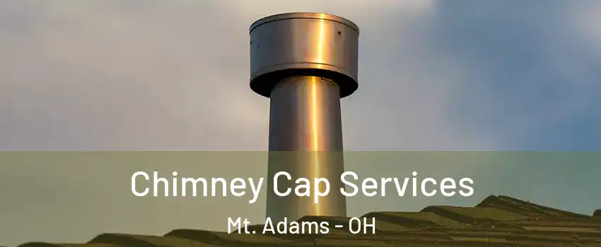 Chimney Cap Services Mt. Adams - OH