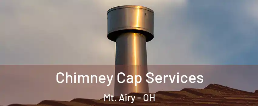 Chimney Cap Services Mt. Airy - OH