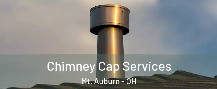 Chimney Cap Services Mt. Auburn - OH