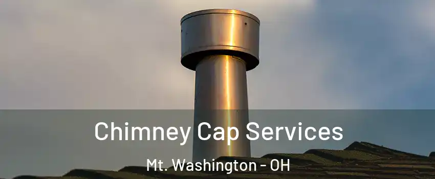 Chimney Cap Services Mt. Washington - OH