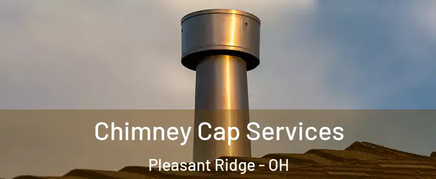 Chimney Cap Services Pleasant Ridge - OH