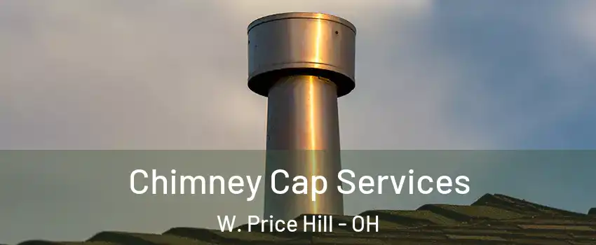 Chimney Cap Services W. Price Hill - OH