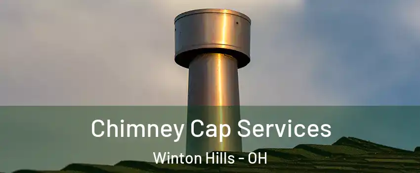 Chimney Cap Services Winton Hills - OH