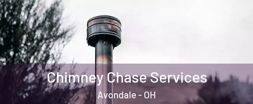 Chimney Chase Services Avondale - OH