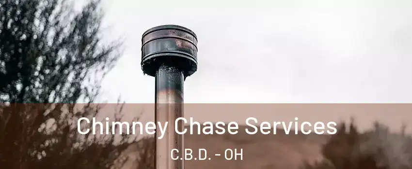 Chimney Chase Services C.B.D. - OH