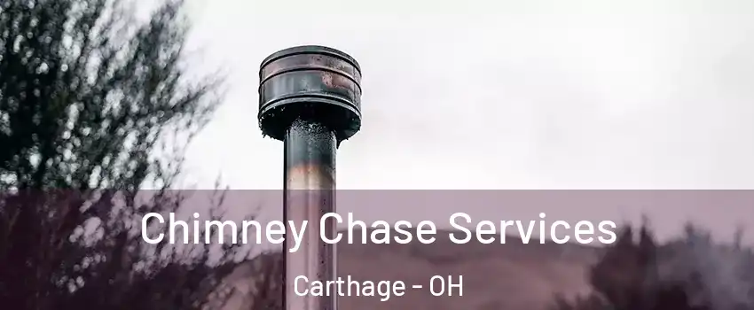 Chimney Chase Services Carthage - OH