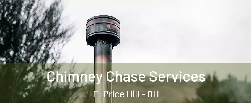 Chimney Chase Services E. Price Hill - OH