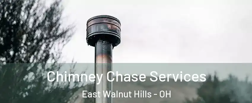 Chimney Chase Services East Walnut Hills - OH