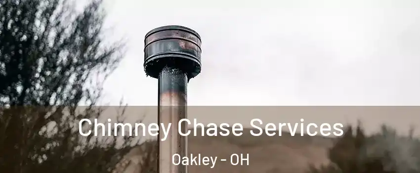 Chimney Chase Services Oakley - OH