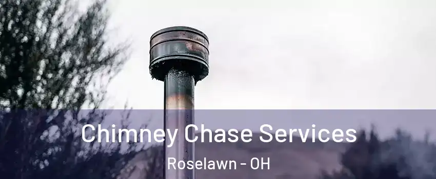 Chimney Chase Services Roselawn - OH