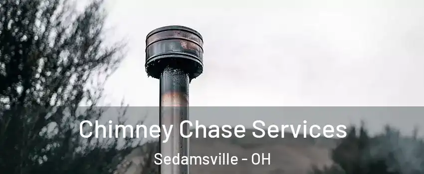 Chimney Chase Services Sedamsville - OH