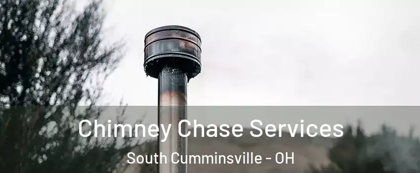 Chimney Chase Services South Cumminsville - OH