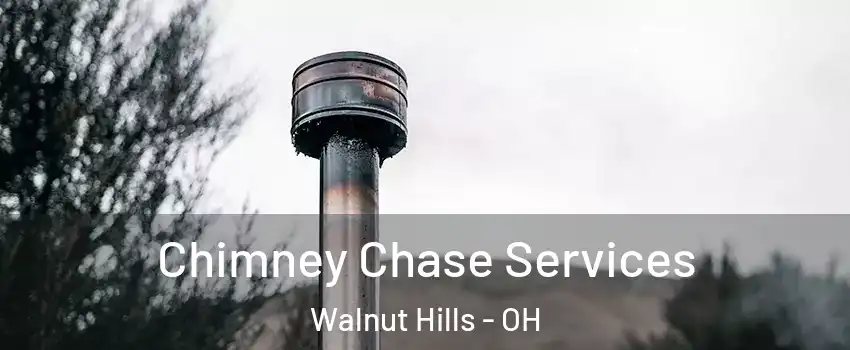 Chimney Chase Services Walnut Hills - OH