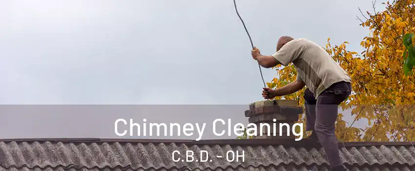 Chimney Cleaning C.B.D. - OH