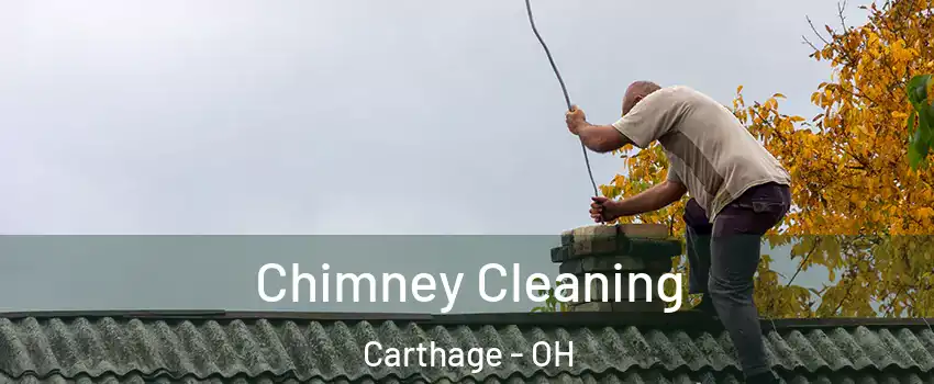 Chimney Cleaning Carthage - OH