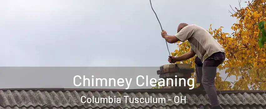 Chimney Cleaning Columbia Tusculum - OH