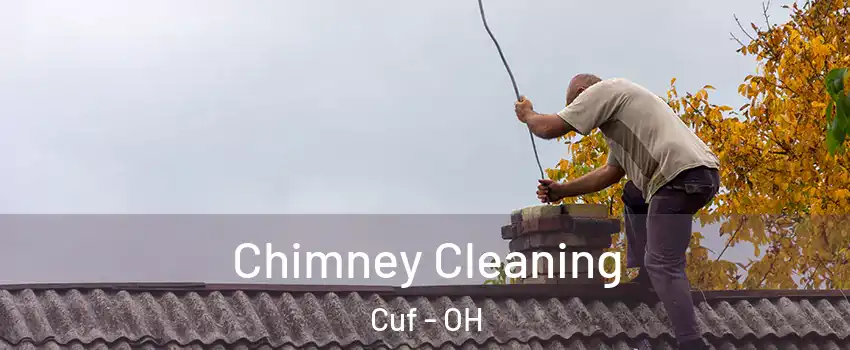 Chimney Cleaning Cuf - OH