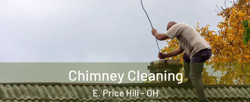 Chimney Cleaning E. Price Hill - OH