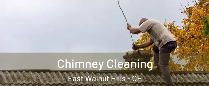 Chimney Cleaning East Walnut Hills - OH