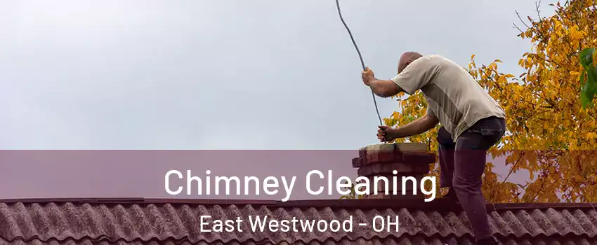 Chimney Cleaning East Westwood - OH