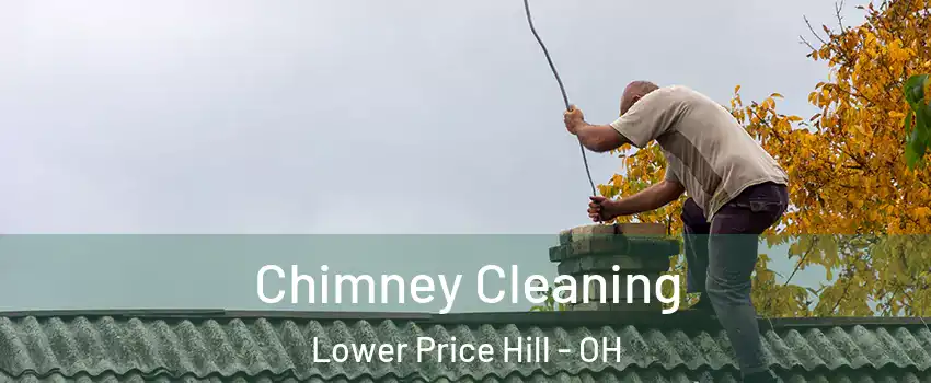 Chimney Cleaning Lower Price Hill - OH