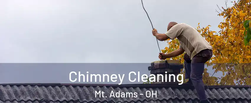 Chimney Cleaning Mt. Adams - OH