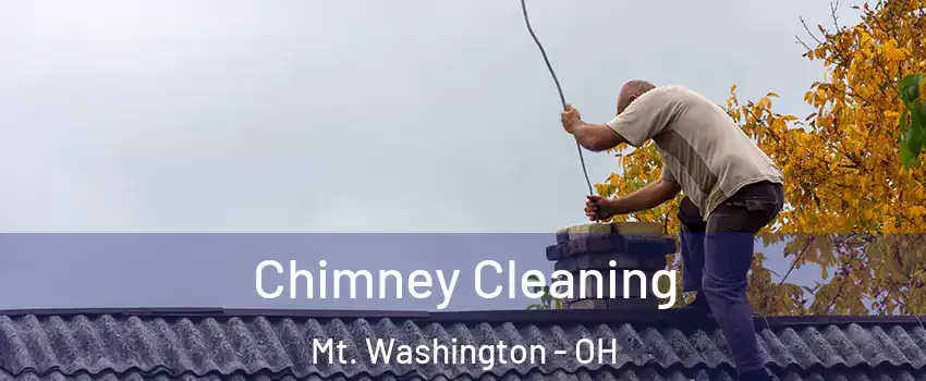 Chimney Cleaning Mt. Washington - OH