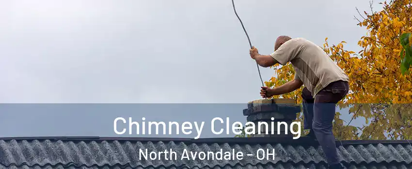 Chimney Cleaning North Avondale - OH